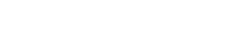 Logo 4 duplicate
